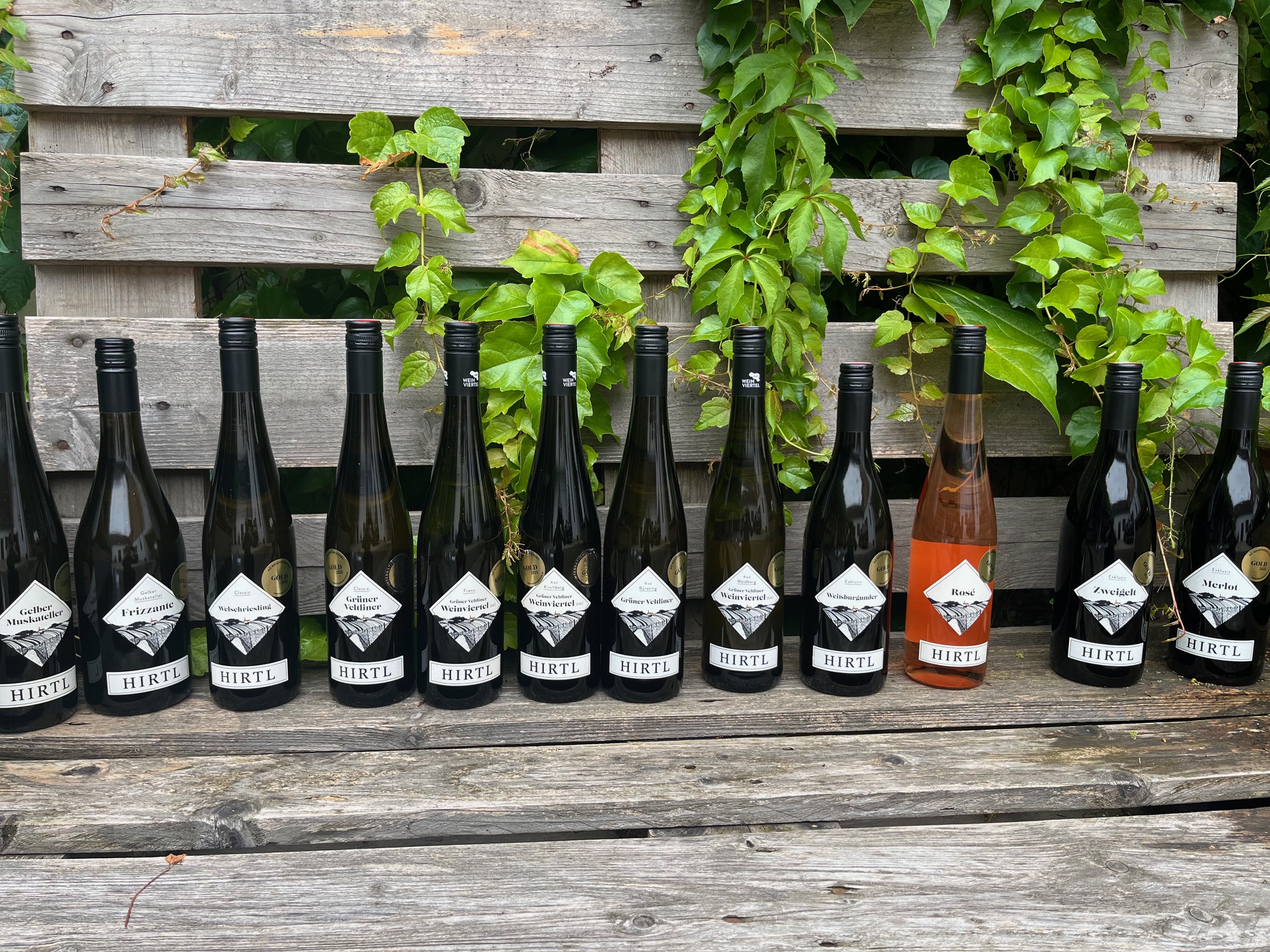 Gold to Taste – 12 Award-Winning Wines